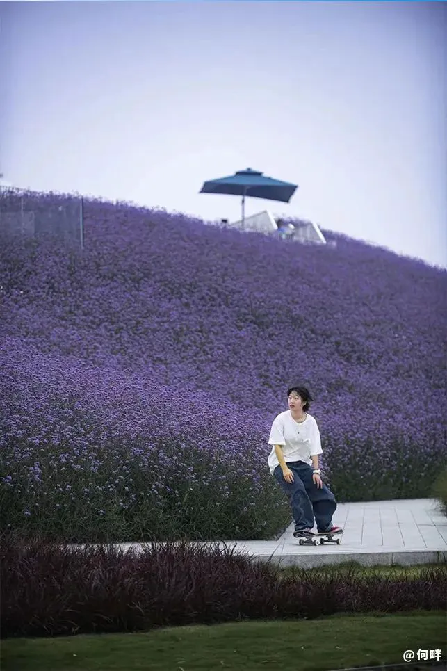 业余爱好者如何在有限时间内提升篮球优势_0